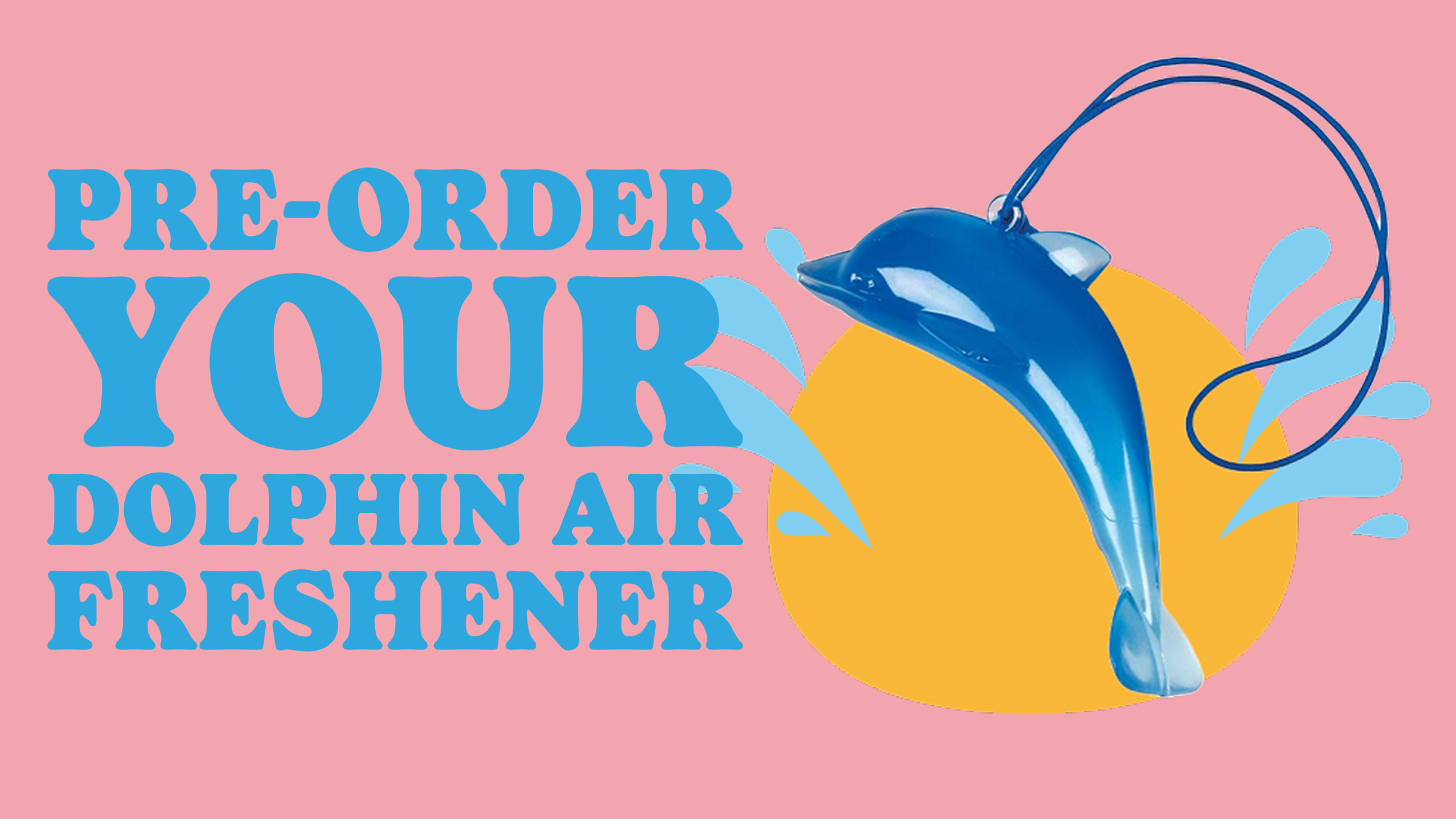 Dolphin IG copy-1
