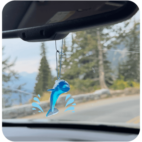 dolphin car air freshener